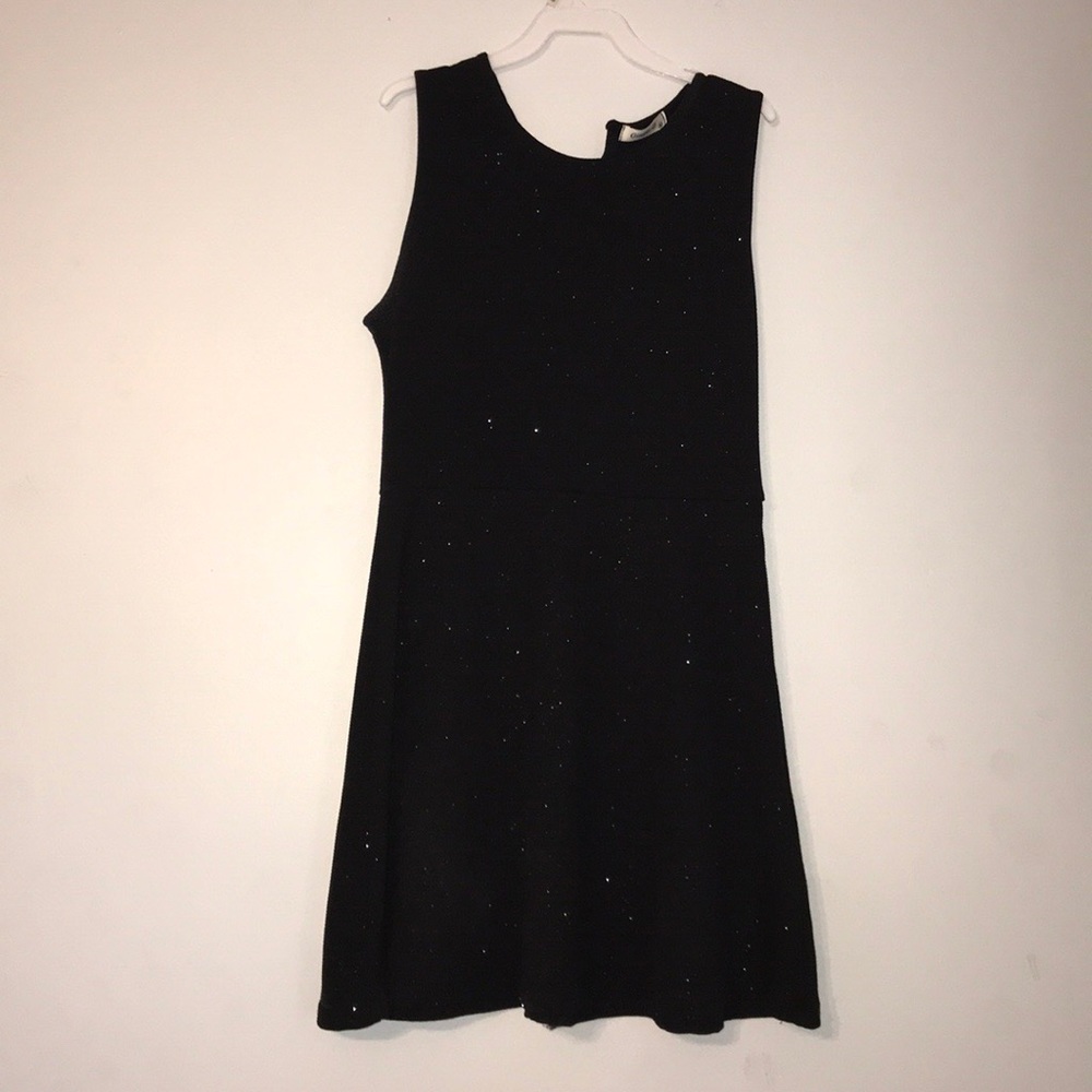 Black Sparkly Skater Dress